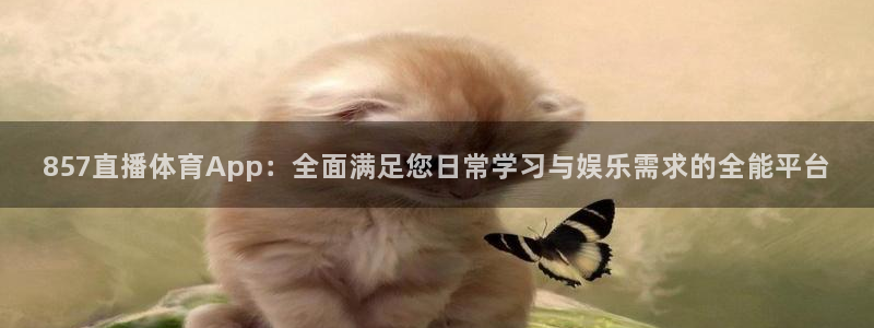 857直播体育App：全面满足您日常学习与娱乐需求的全能平台
