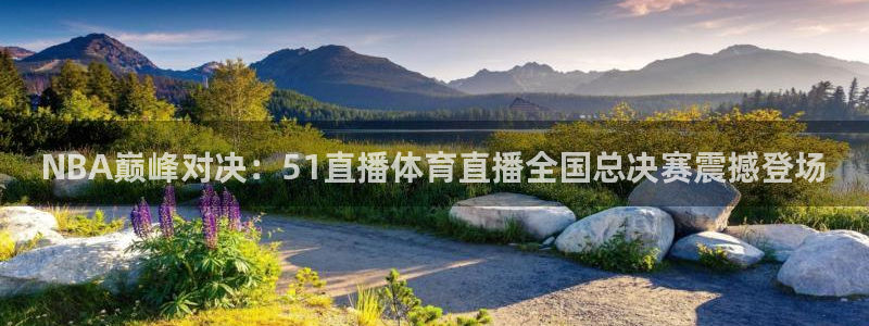 NBA巅峰对决：51直播体育直播全国总决赛震撼登场