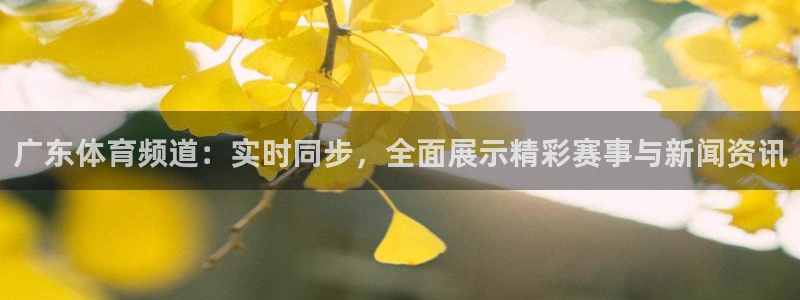 广东体育频道：实时同步，全面展示精彩赛事与新闻资讯