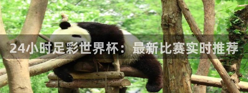24小时足彩世界杯：最新比赛实时推荐