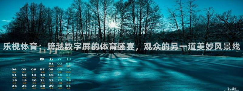 乐视体育：跨越数字屏的体育盛宴，观众的另一道美妙风景线