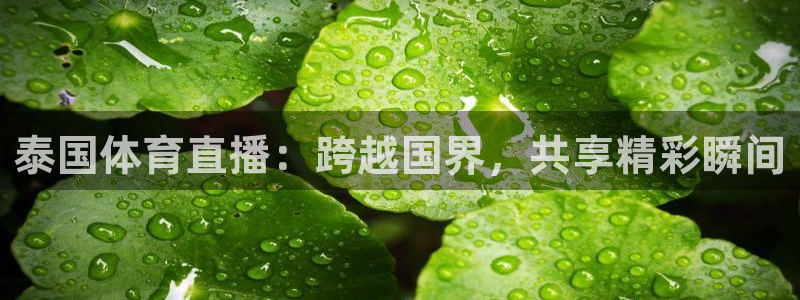 泰国体育直播：跨越国界，共享精彩瞬间