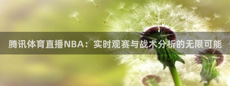 腾讯体育直播NBA：实时观赛与战术分析的无限可能