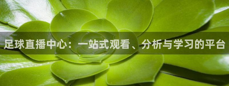 足球直播中心：一站式观看、分析与学习的平台