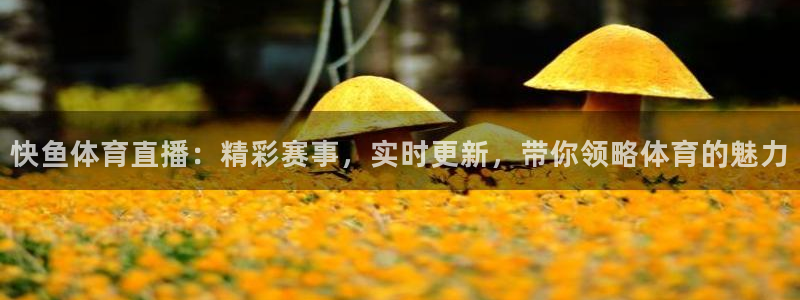 快鱼体育直播：精彩赛事，实时更新，带你领略体育的魅力