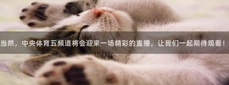 当然，中央体育五频道将会迎来一场精彩的直播，让我们一起期待观看！
