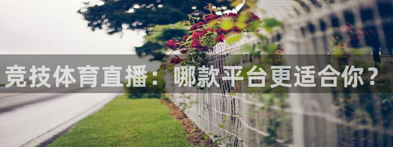 竞技体育直播：哪款平台更适合你？