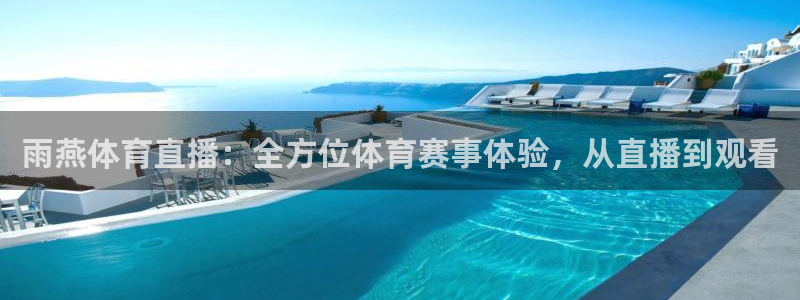 雨燕体育直播：全方位体育赛事体验，从直播到观看