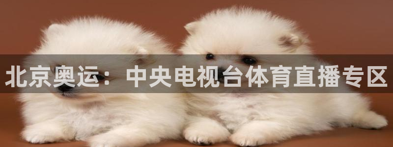 北京奥运：中央电视台体育直播专区