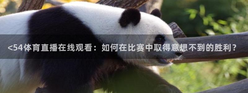 <54体育直播在线观看：如何在比赛中取得意想不到的胜利？